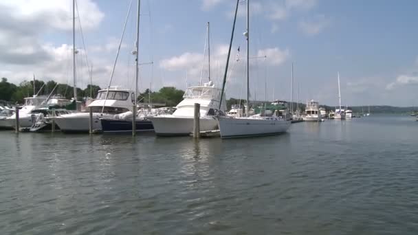 Boten aangemeerd in de haven (2 van 3) — Stockvideo