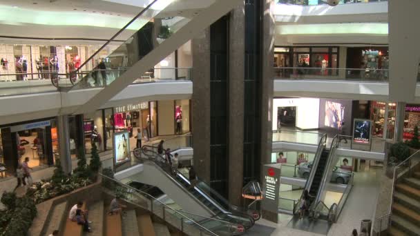 Compradores en el centro comercial cerca de escaleras mecánicas y ascensores — Vídeos de Stock