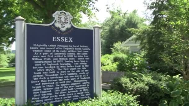 Συνδεθείτε εισάγοντας Essex — Αρχείο Βίντεο
