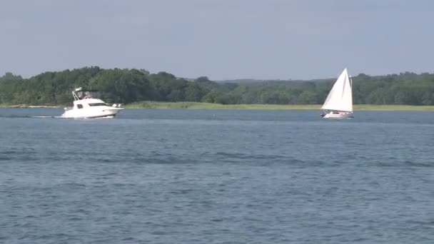 Actividades com vista para o lago (3 de 12) ) — Vídeo de Stock