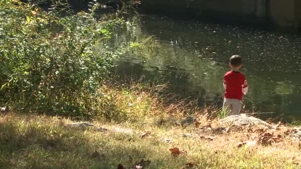 Niño pescando en el lago — Vídeo de stock