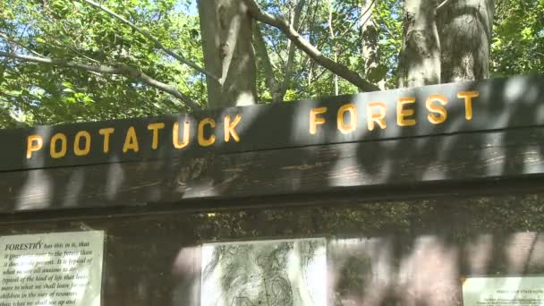 Pootatuck Forest (4 из 4 ) — стоковое видео