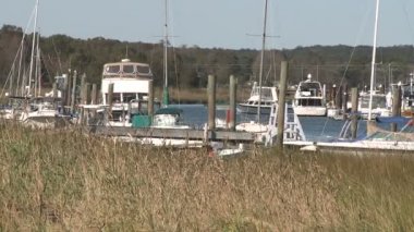 Guilford, Connecticut'lı sahneleri