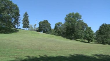 çimenli hillside ağaçları ile