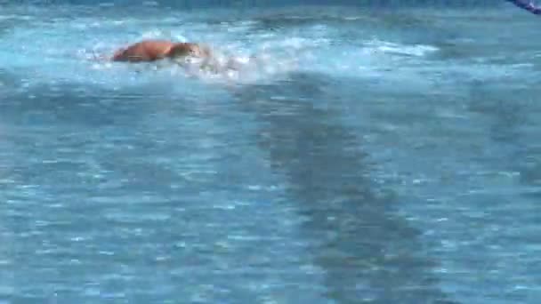 Natation dans une piscine olympique (1 de 3 ) — Video