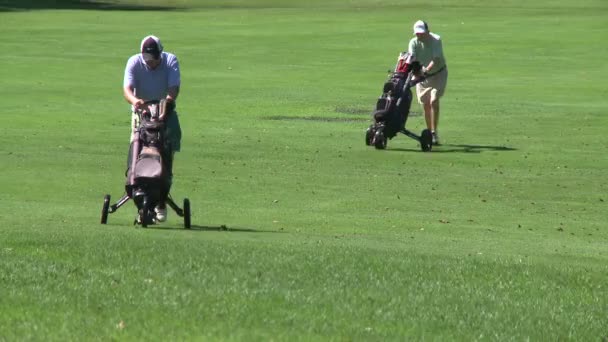 Mannen wheeling hans golfklubbar mellan hålen (2 av 3) — Stockvideo