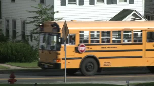 Pick-up de ônibus escolar (1 de 3 ) — Vídeo de Stock