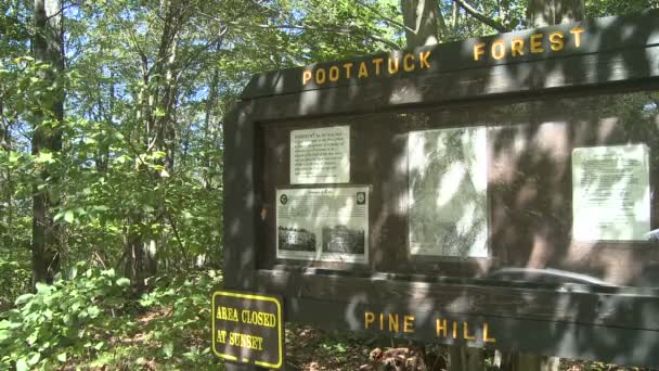 Pootatuck Forest (1 из 4 ) — стоковое видео