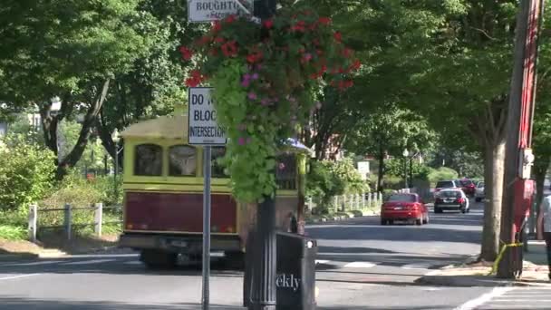 Yerel otobüs trafikte sürüş — Stok video
