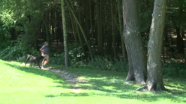 Homme Chien Courent Sur Sentier Dans Parc Naturel — Video