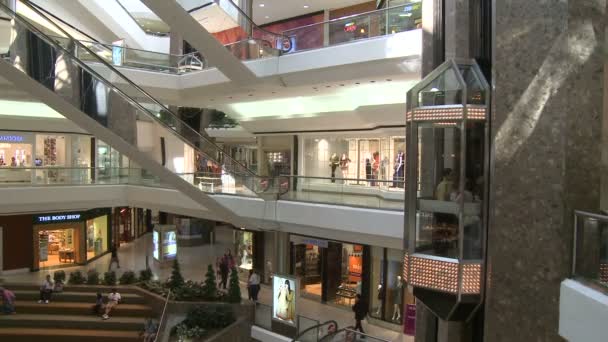 Shoppers in winkelcentrum in de buurt van roltrappen en liften — Stockvideo