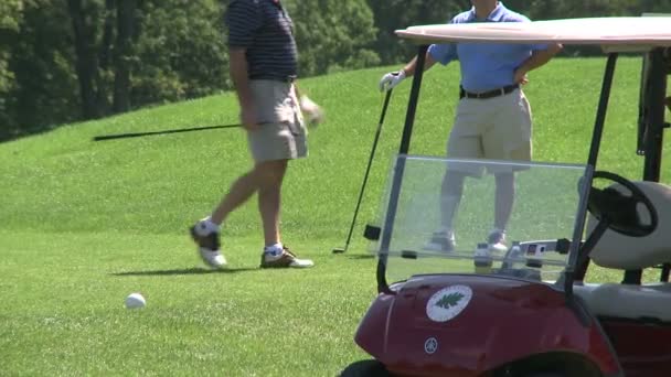 Carrinho de golfe estacionado com dois golfistas no verde (1 de 2 ) — Vídeo de Stock