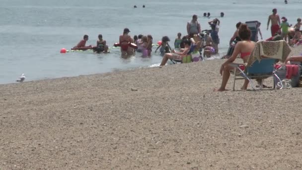 Wspaniały dzień na plaży (4 z 14) — Wideo stockowe