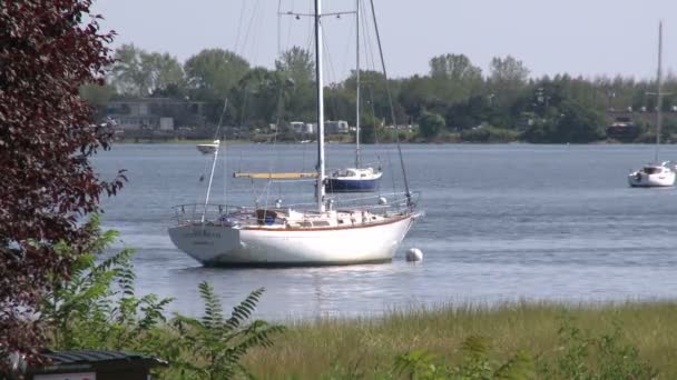 在水中休息的帆船 — 图库视频影像
