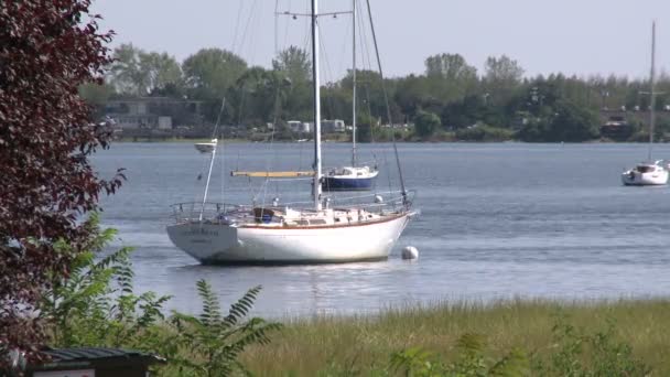 Zeilboten onbeweeglijk in water — Stockvideo