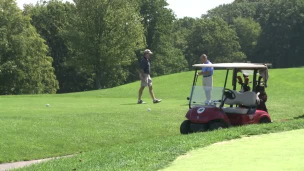 Golfwagen mit zwei Golfspielern auf dem Grün (1 von 2)) — Stockvideo