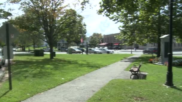 Profiter d'un après-midi dans le parc (3 de 5 ) — Video