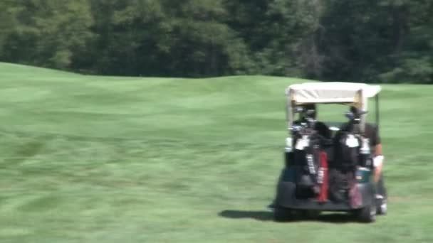Golfkar rijdt langs cursus — Stockvideo