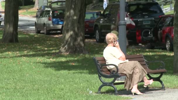 Enjoying an afternoon in the park (4 of 5) — Stock Video