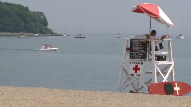 Glorious day at the beach (2 of 14) — Stock Video