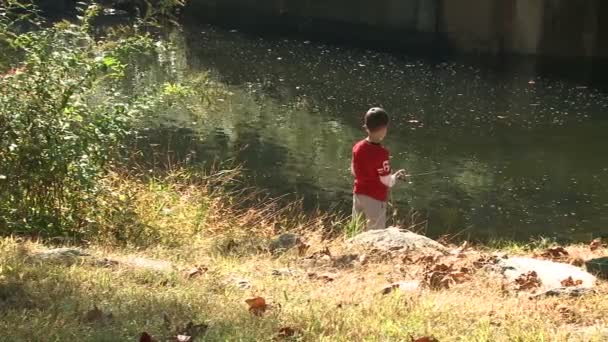 Niño pescando en el lago — Vídeo de stock