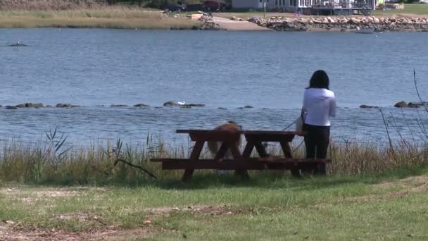 Жінка йде собака біля води — стокове відео