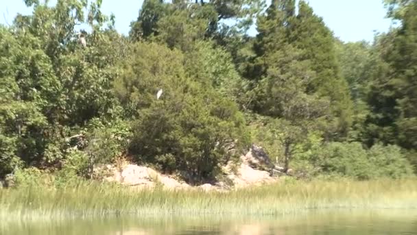 Cruising down the lake (7 de 15 )
