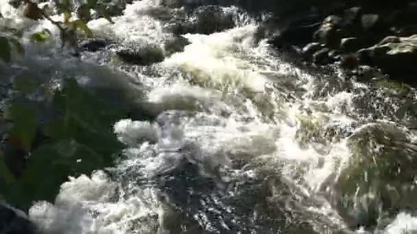 Corriendo arroyo de agua dulce — Vídeo de stock