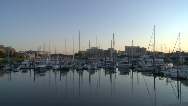 Boats moored at harbor — Stock Video