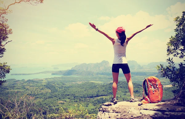 Cheering successful woman — Stock Photo, Image