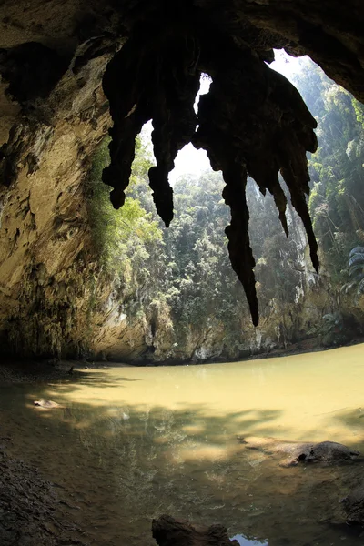 Сталактит и вода в пещере — стоковое фото