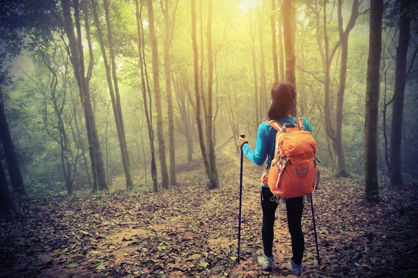 年轻女子名徒步旅行者 — 图库照片