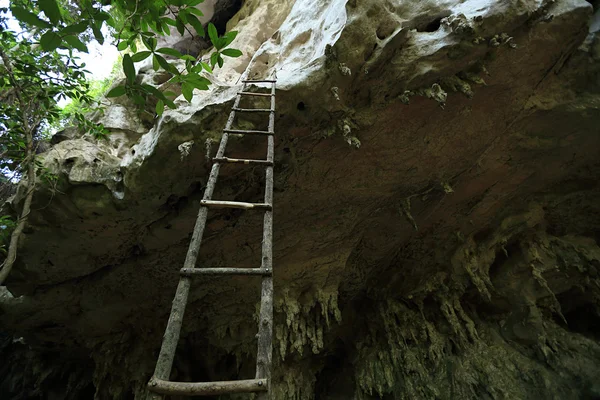 Лестница опирается на скалу — стоковое фото