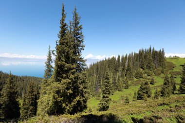 güzel göl ve dağ manzarası