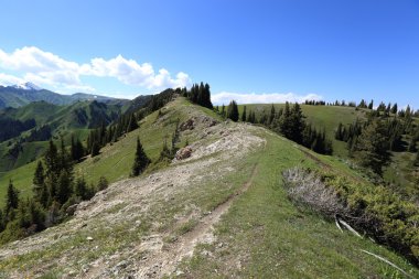 Güzel yürüyüş iz