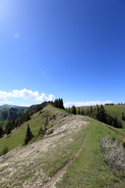 Güzel yürüyüş iz