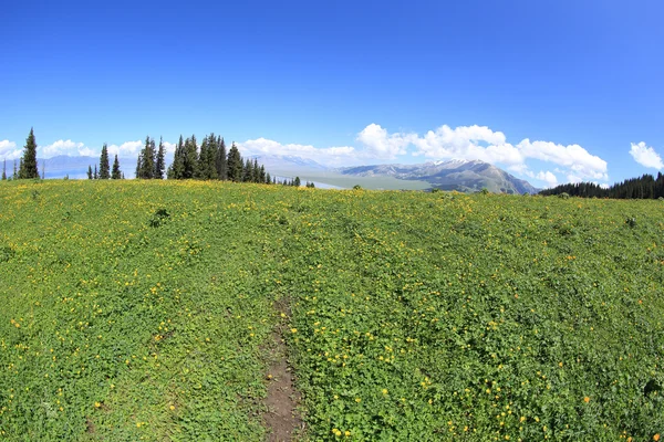 Beau lac et paysage de montagne — Photo