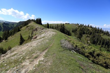 Güzel yürüyüş iz