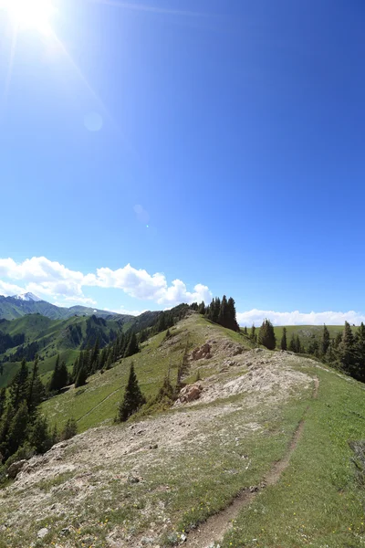 Beau sentier de randonnée — Photo