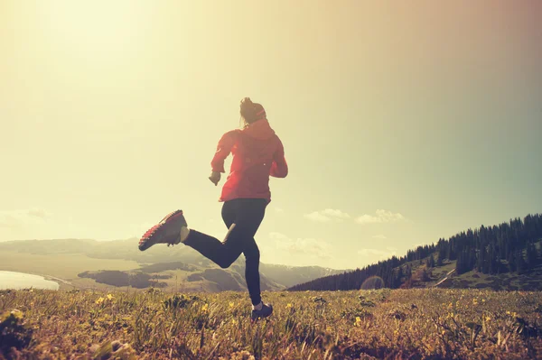 Jonge vrouw fitness uitgevoerd — Stockfoto