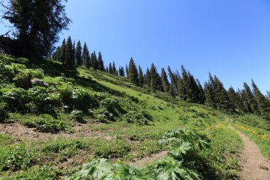 Dağ tepe yürüyüş iz