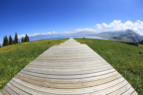 Bel escalier de promenade en bois — Photo