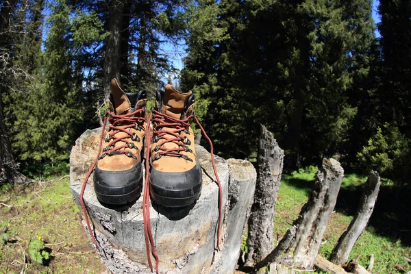 Pair of hiking boots