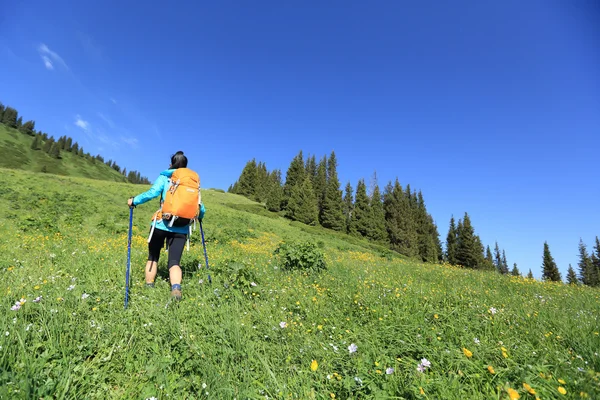 Jonge vrouw backpacker wandelen — Stockfoto