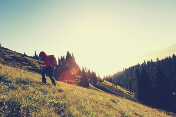 Ung kvinna backpacker vandring — Stockfoto