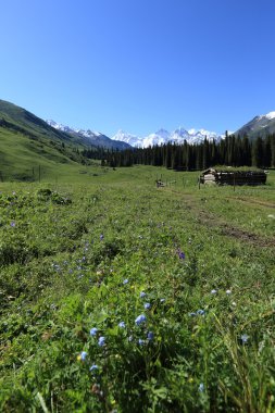 Güzel dağlar manzara Xinjiang Uygur 