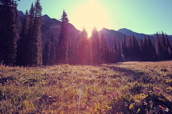 신장에 있는 아름 다운 산 풍경 — 스톡 사진