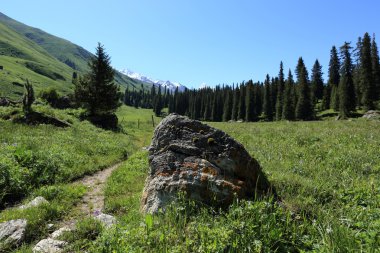 Güzel dağlar manzara Xinjiang Uygur 