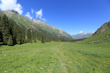 Güzel dağlar manzara Xinjiang Uygur 