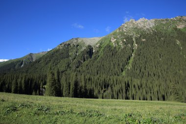 Güzel dağlar manzara Xinjiang Uygur 